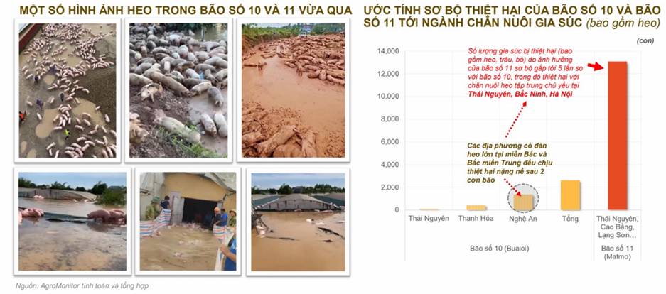BAF - Tham vọng top thị phần chăn nuôi vào 2030