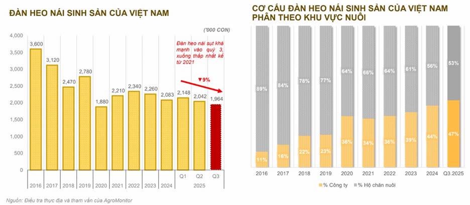 BAF - Tham vọng top thị phần chăn nuôi vào 2030