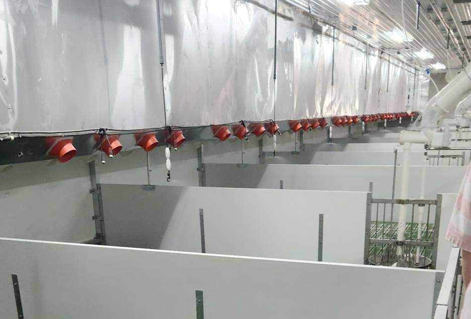 BAF - Tham vọng top thị phần chăn nuôi vào 2030