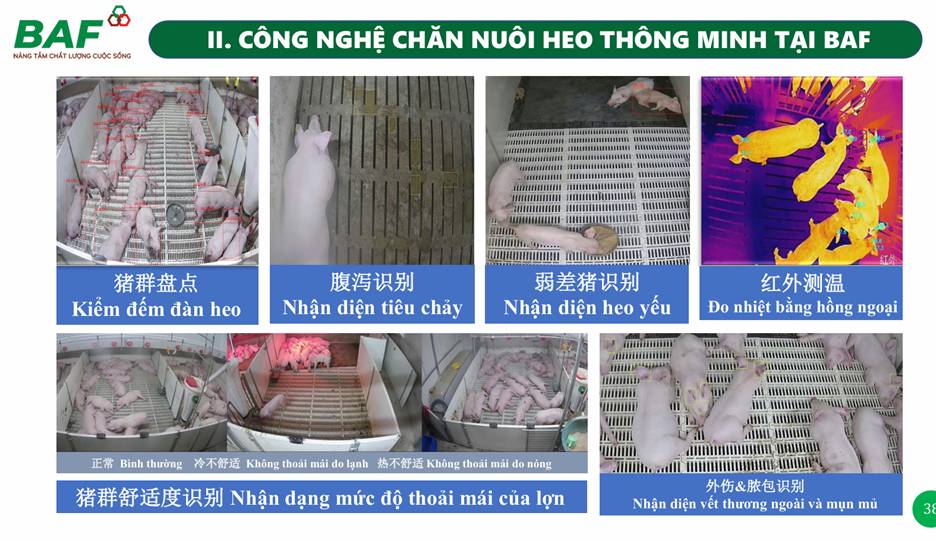 BAF - Tham vọng top thị phần chăn nuôi vào 2030