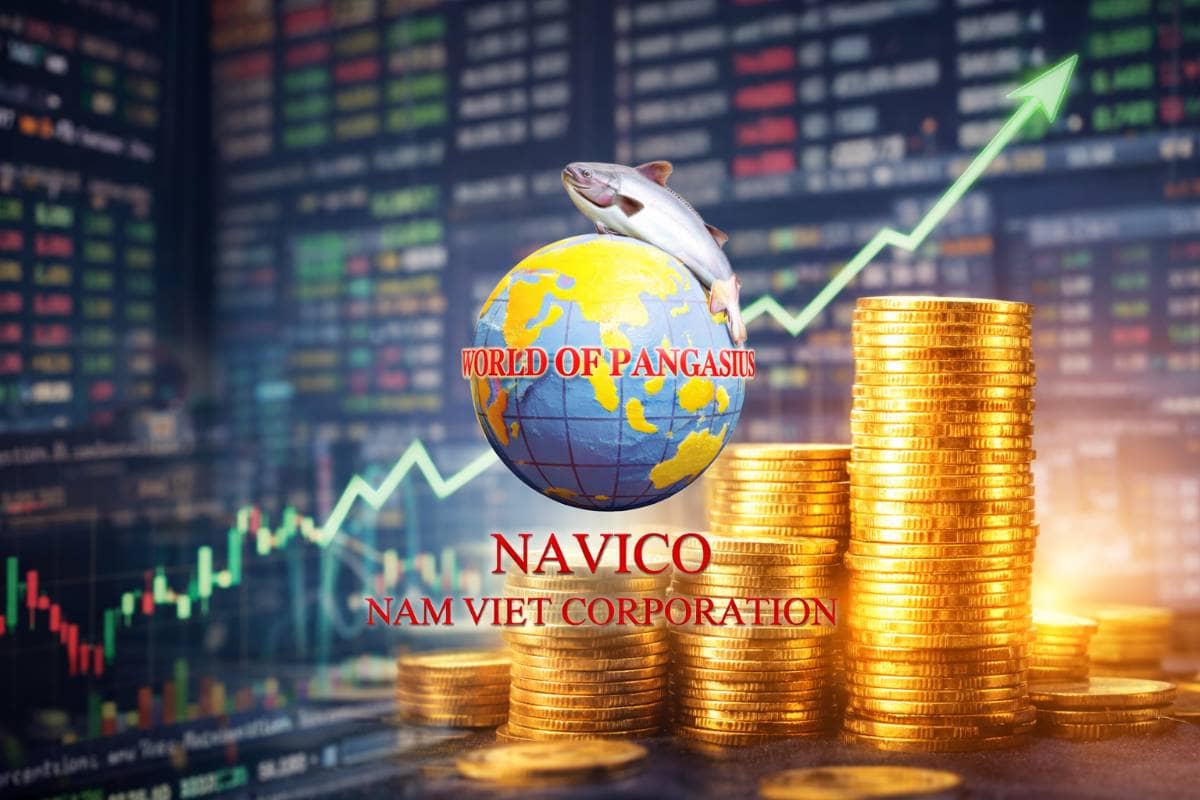 ANV Q4/2025: Lợi nhuận tăng 42 lần – Không chỉ là “đáy chu kỳ”, mà là một pha tái định giá thực sự?