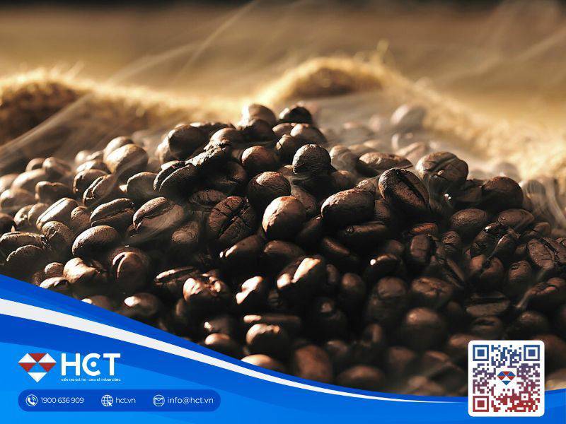 Giá cà phê ngày 28/01: Trong nước tăng nhẹ, thị trường thế giới được hỗ trợ bởi arabica