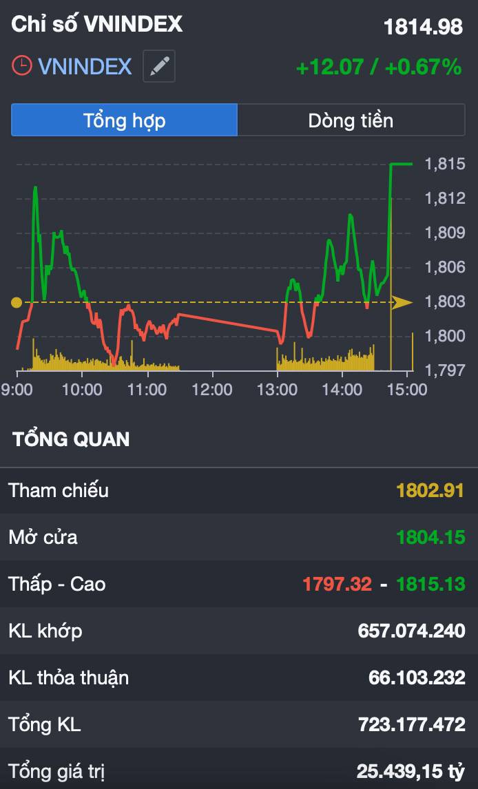 VN-Index bật dậy sau 7 phiên giảm: Hồi phục kỹ thuật hay khởi đầu một nhịp tích lũy mới?
