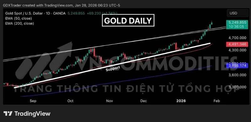 Nhân tố quan trọng ảnh hưởng tới Kim loại