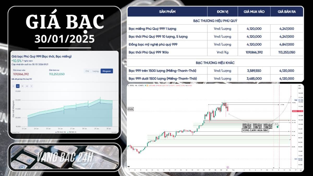 Bạc rung lắc mạnh tại đỉnh 121.5 USD: Nhịp chỉnh tất yếu hay cơ hội mới?