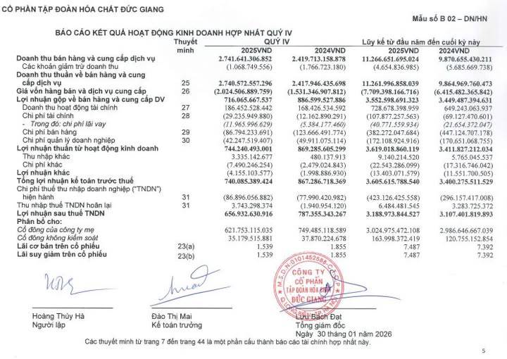 Hóa chất Đức Giang (DGC) - Báo cáo tài chính quý 4/2025