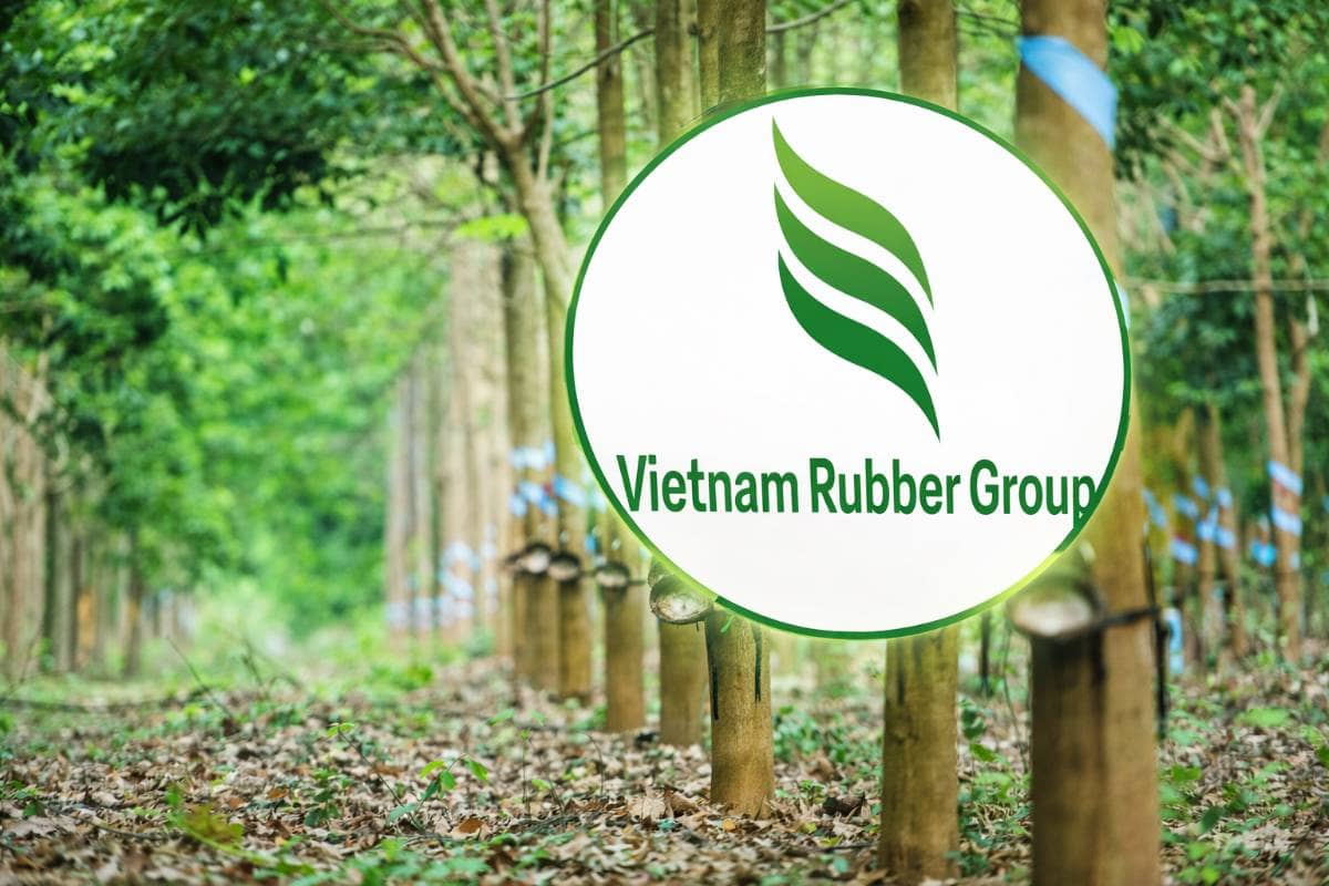 GVR tăng 70% nhưng lợi nhuận không tăng tương ứng — Siêu cổ phiếu hay bẫy chu kỳ?