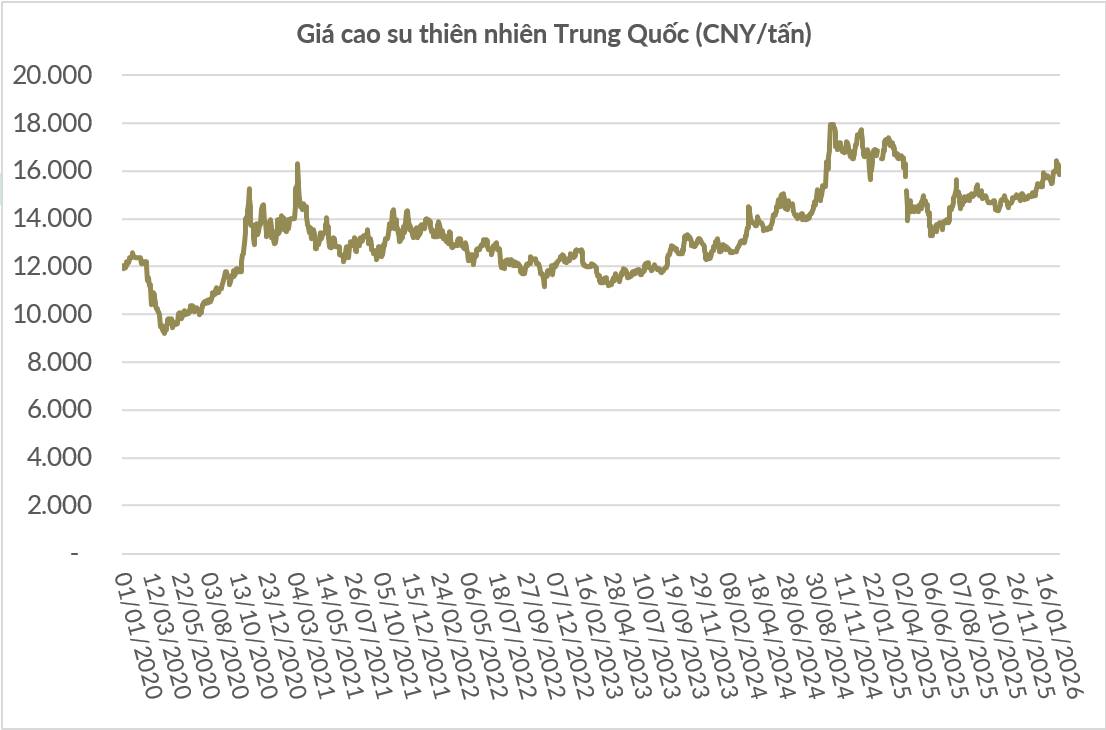 GVR tăng 70% nhưng lợi nhuận không tăng tương ứng — Siêu cổ phiếu hay bẫy chu kỳ?