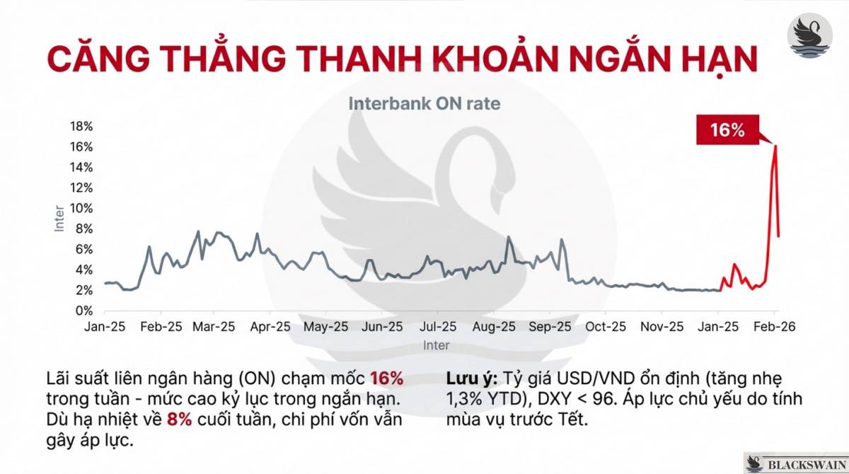 Market Recap - Tuần thứ hai tháng Hai: Nhịp lấy đà trước tết