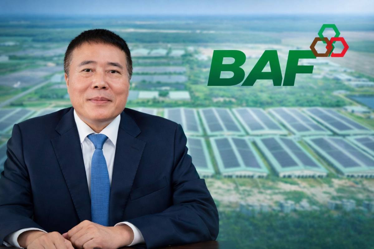 Giá Heo Lập Đỉnh – Nhưng BAF Lại Lỗ Nặng: Sai Ở Chu Kỳ Hay Sai Ở Chiến Lược?