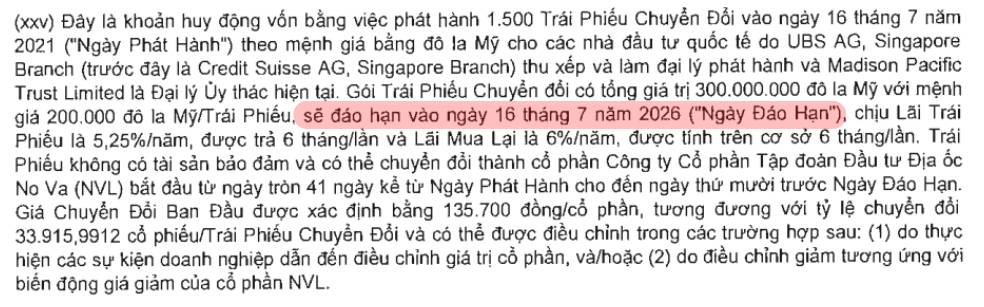NVL đang có sự chuyển dịch về cơ cấu tài chính!