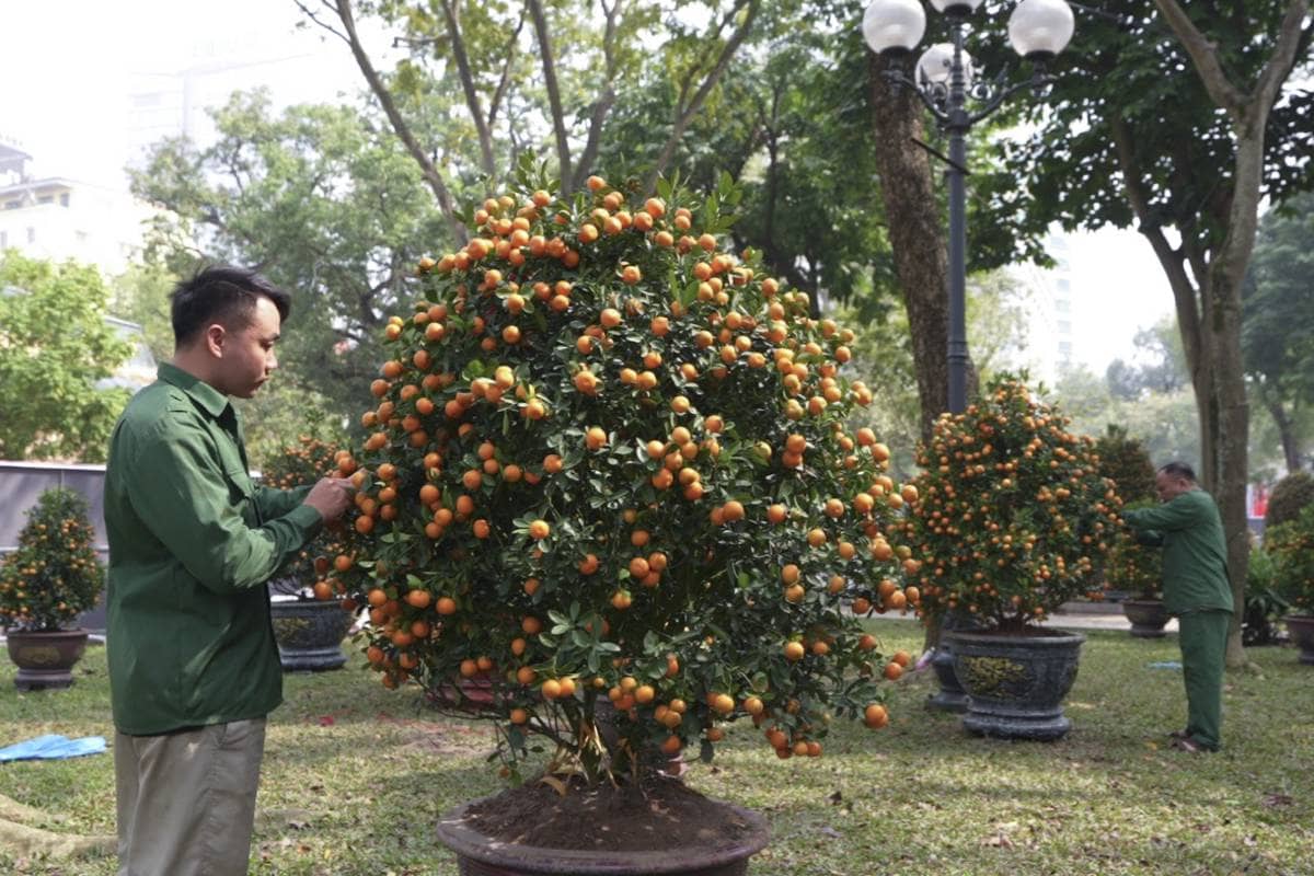Sun Group dành tặng Hà Nội không gian hoa xuân rực rỡ tại khu vực tượng đài Lý Thái Tổ
