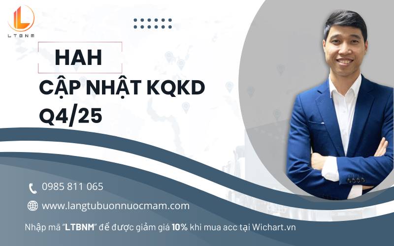 HAH - Cập nhật KQKD 2025