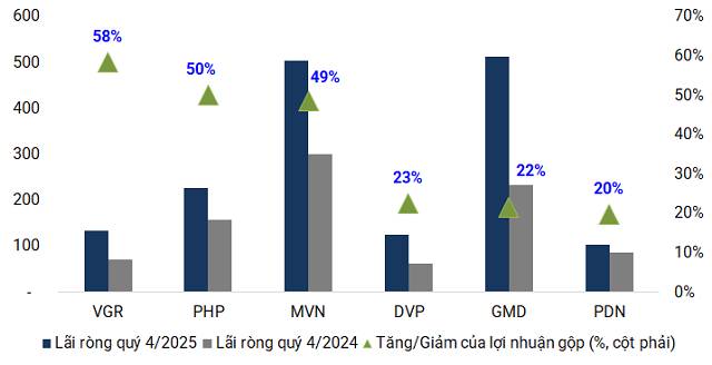 Doanh nghiệp cảng biển khép năm 2025 với kết quả vượt kỳ vọng