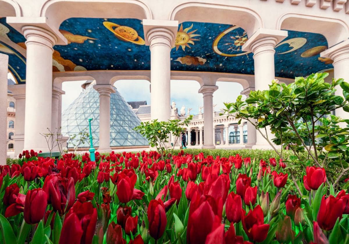 Hơn một triệu bông tulip trên đỉnh Bà Nà - Điểm hẹn mùa xuân Đà Nẵng