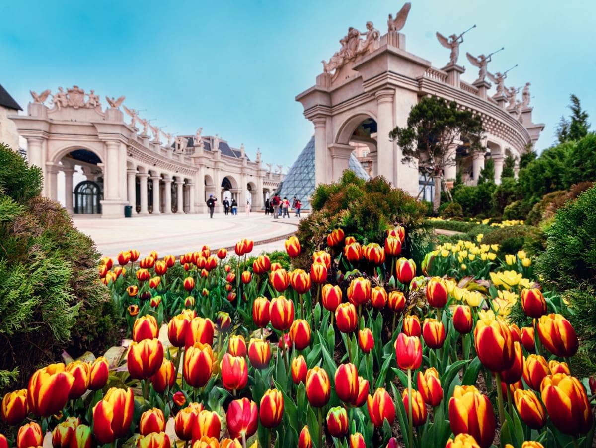 Hơn một triệu bông tulip trên đỉnh Bà Nà - Điểm hẹn mùa xuân Đà Nẵng