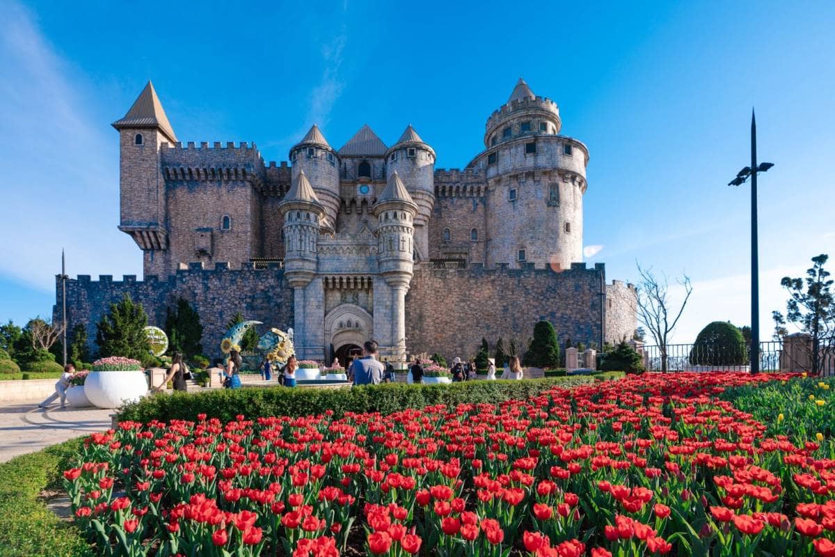 Hơn một triệu bông tulip trên đỉnh Bà Nà - Điểm hẹn mùa xuân Đà Nẵng