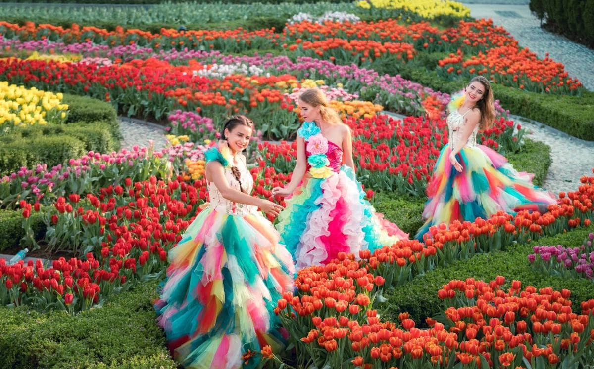 Hơn một triệu bông tulip trên đỉnh Bà Nà - Điểm hẹn mùa xuân Đà Nẵng