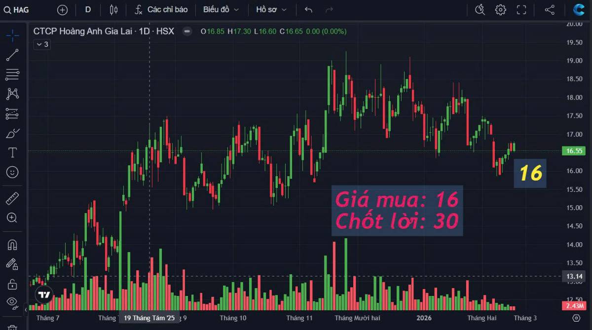 Vài gợi ý đầu tư cho cả năm 2026