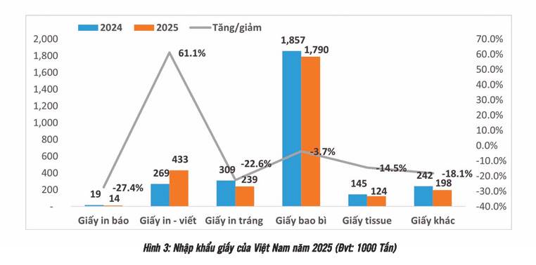 Triển vọng ngành Giấy Bao Bì Việt Nam: Cửa tăng trưởng rộng nhưng luật chơi ngày càng khắt khe