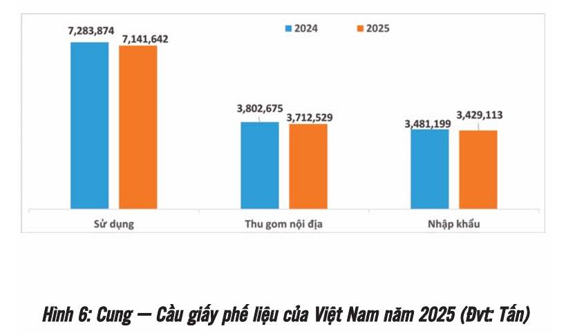 Triển vọng ngành Giấy Bao Bì Việt Nam: Cửa tăng trưởng rộng nhưng luật chơi ngày càng khắt khe