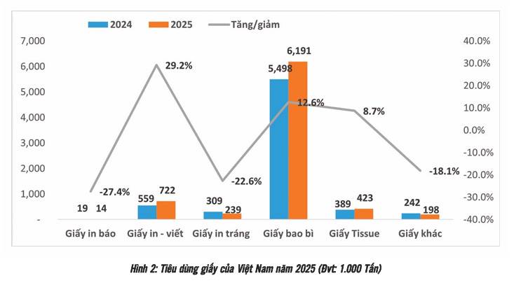 Triển vọng ngành Giấy Bao Bì Việt Nam: Cửa tăng trưởng rộng nhưng luật chơi ngày càng khắt khe