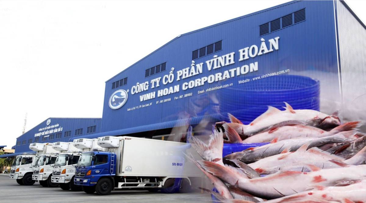 VHC - Yếu tố phục hồi đã phát tín hiệu trong kết quả kinh doanh tháng 1/2026