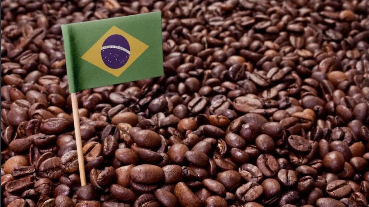 Thị trường cà phê tuần 23 - 27/2: Brazil siết truy xuất nguồn gốc, sản lượng 2026 hướng kỷ lục mới