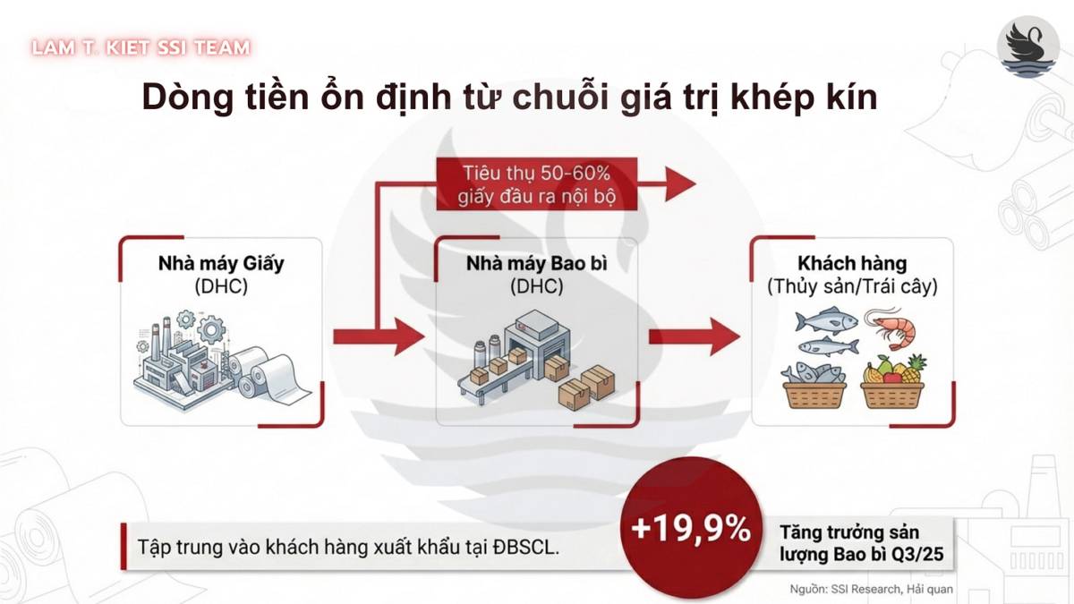 DHC và "Kỷ nguyên vươn mình" của ngành giấy