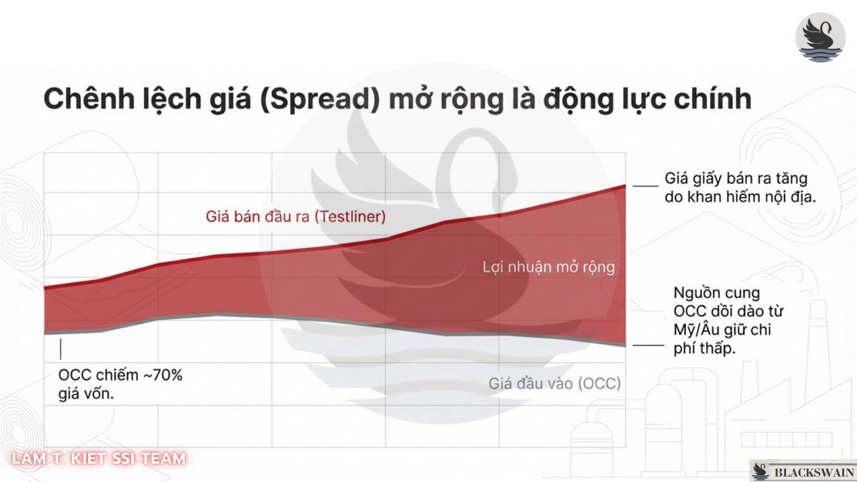 DHC và "Kỷ nguyên vươn mình" của ngành giấy