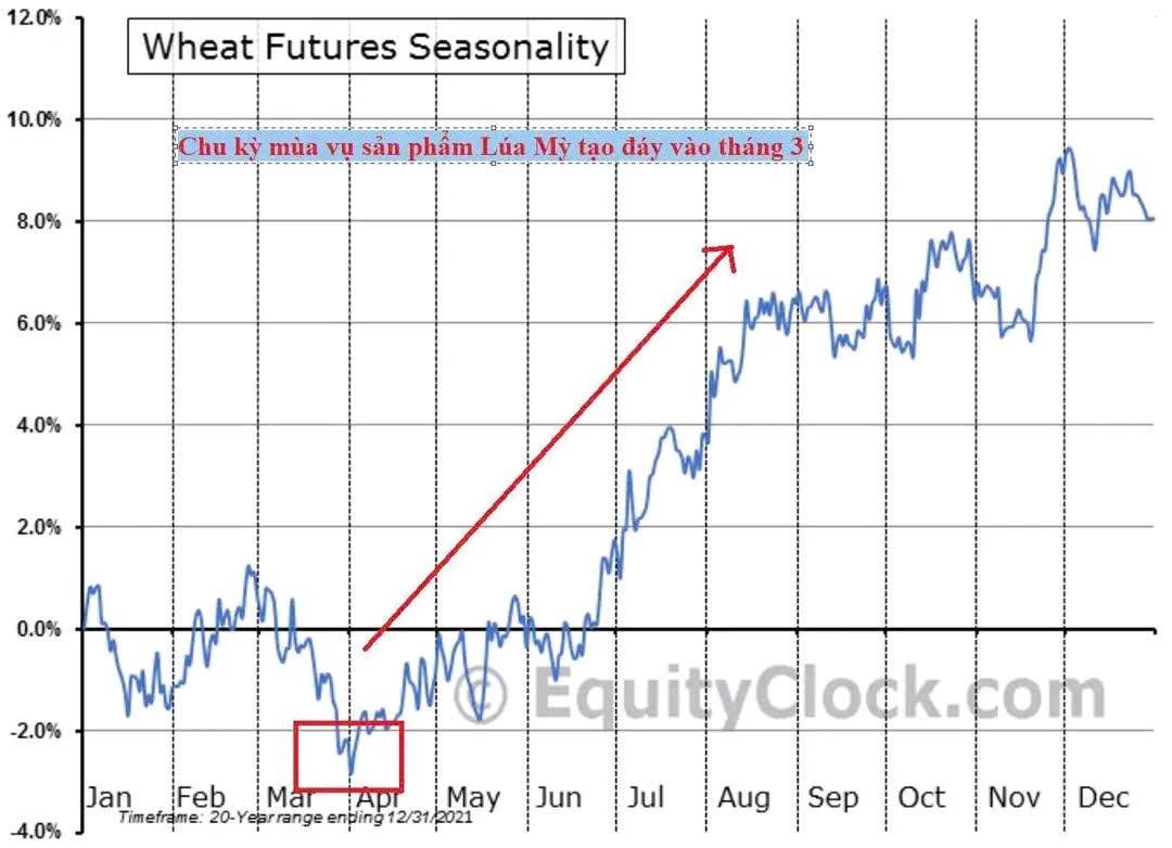 1 con sóng hàng hóa mới đang hình thành