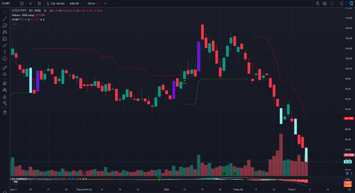 Nhà đầu tư đang xa bờ với cổ phiếu chất lượng
