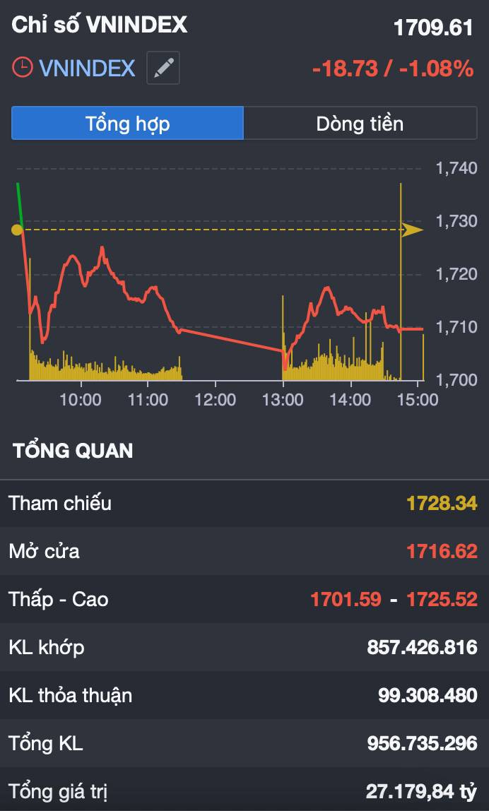 VN-Index gãy nhịp sau 2 phiên hồi mạnh: rung lắc tạo đáy hay khởi đầu cho một nhịp điều chỉnh mới?