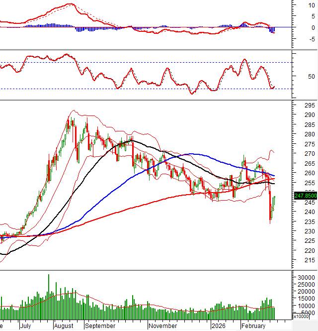 Thị trường biến động, nđt nên làm gì?