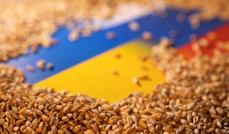 Nguồn cung toàn cầu tăng mạnh khiến lúa mì điều chỉnh, đậu tương biến động theo nhu cầu Châu Á