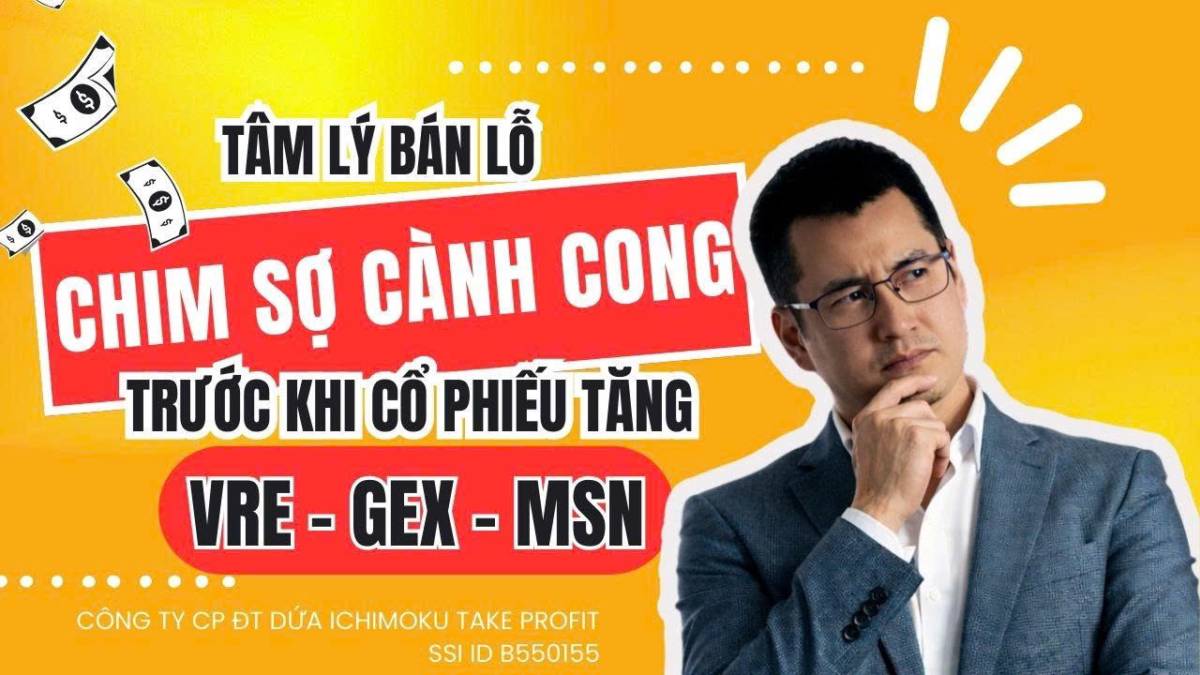 Chứng khoán hôm nay: Chim sợ cành cong, tâm lý bán lỗ VRE, GEX, MSN trước khi cổ phiếu tăng?