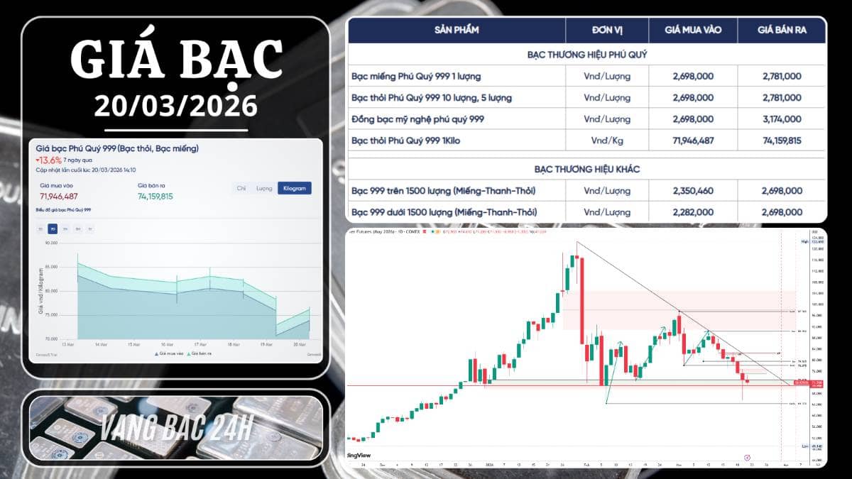 Cập nhật thị trường bạc 20/03: Nhúng mạnh và hồi phục – kì vọng bước vào pha tích lũy