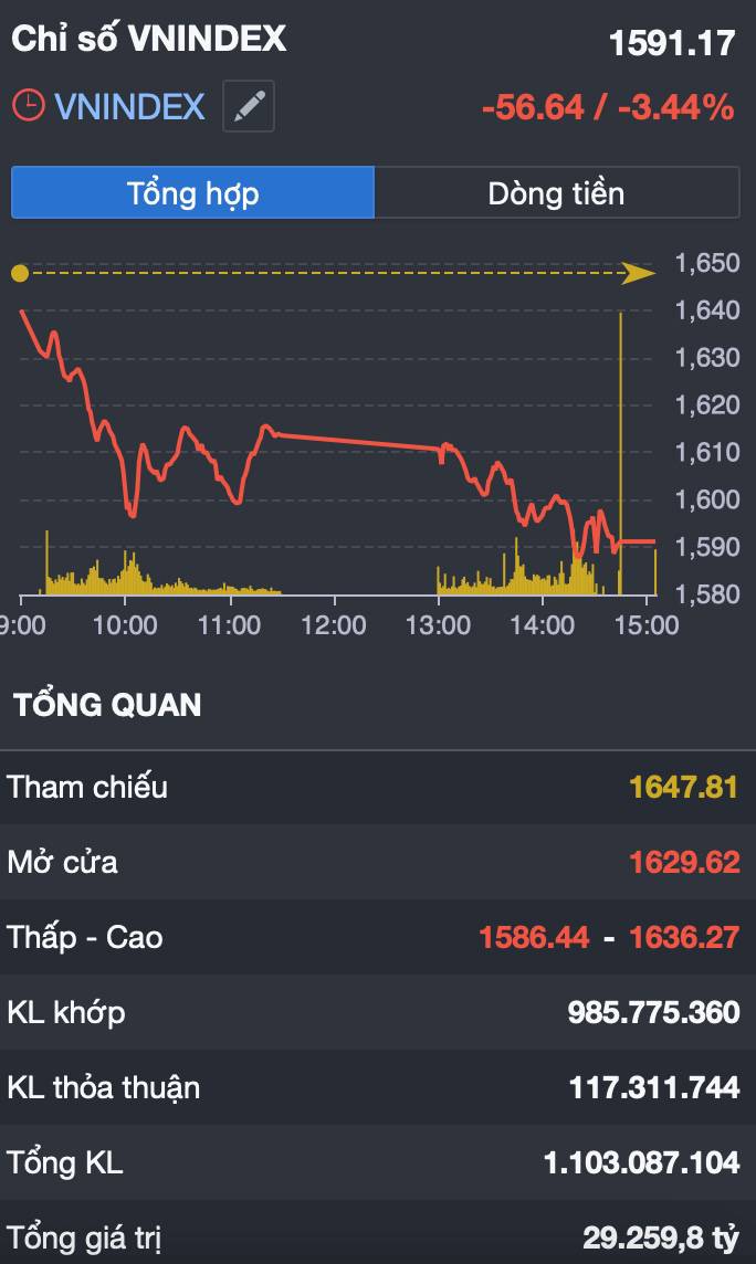 Vn-index “gãy 1.600” - bán tháo diện rộng, margin call kích hoạt: đáy ở đâu hay mới chỉ bắt đầu?