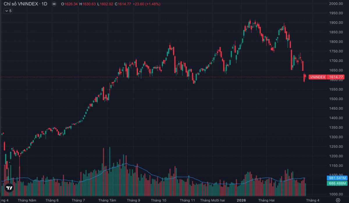 VN-Index “hồi sinh” trở lại 1.600: dòng tiền quay lại hay chỉ là cái bẫy hồi phục sau bán tháo?