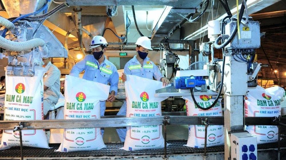 DCM “đạp phanh” 2026: lợi nhuận giảm 40%, cổ tức cắt một nửa - cổ phiếu giảm 15% mới chỉ là khởi đầu?