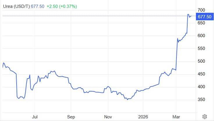 GIÁ URE THẾ GIỚI TĂNG DỰNG ĐỨNG: CHỌN DCM HAY DPM ĐỂ ĐÓN SÓNG LỢI NHUẬN?. Nhìn vào biểu đồ giá Ure thế  ...