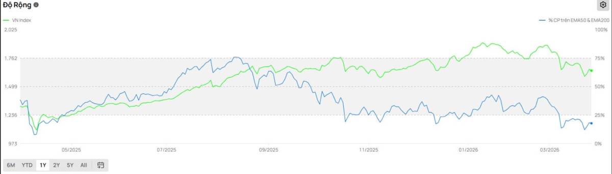 Sắc xanh trở lại bất chấp áp lực địa chính trị