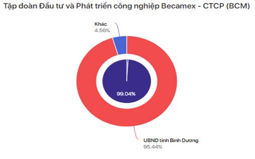 BCM: Điều gì đang diễn ra với giá cp?