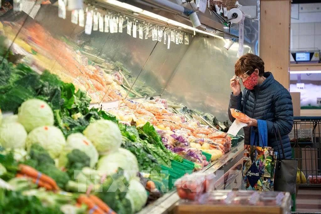 TRIỂN VỌNG BÁO CÁO USDA: BIẾN ĐỘNG DIỆN TÍCH GIEO TRỒNG CÓ THỂ CHƯA PHẢN ÁNH ĐẦY ĐỦ CÁC THAY ĐỔI LỚN  ...