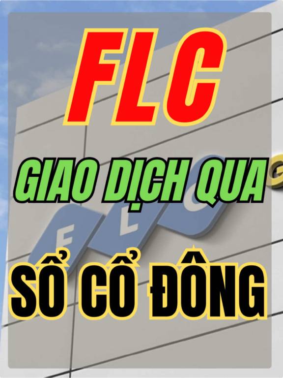 Hướng dẫn giao dịch FLC qua sổ cổ đông 


