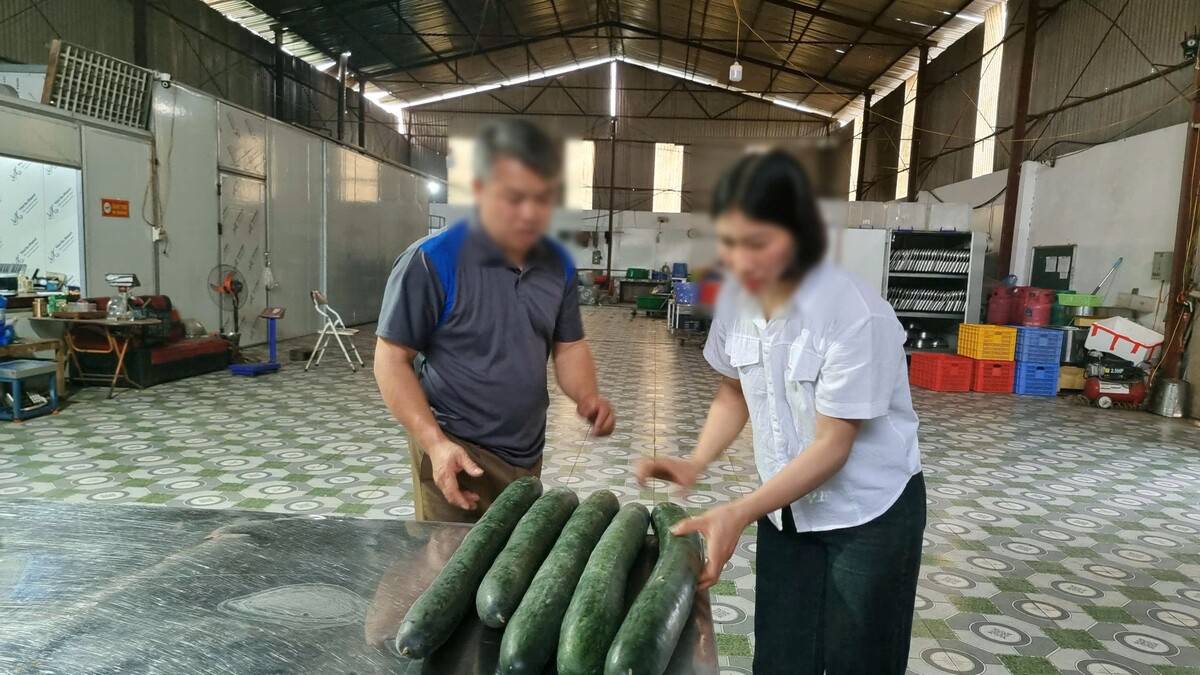 Phạt 22,5 triệu đồng đơn vị cấp thịt lợn nhiễm bệnh vào trường mầm non