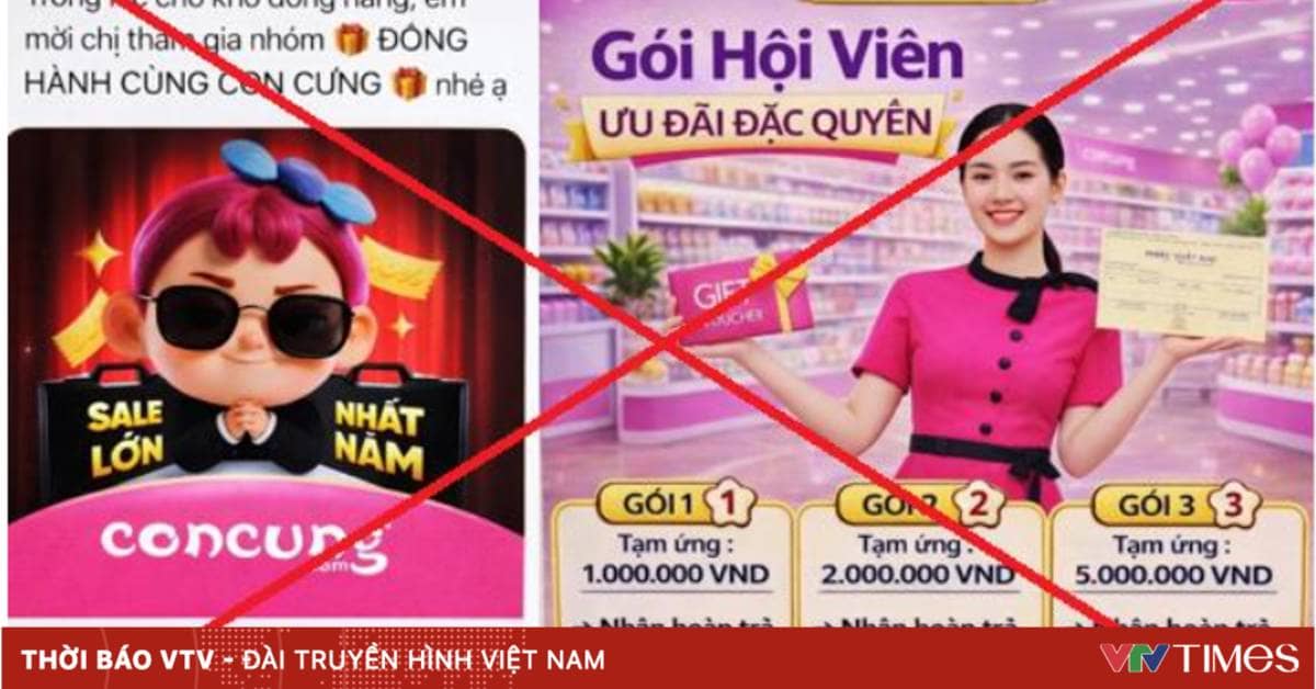 Người phụ nữ mất gần 1 tỷ vì nhóm “Đồng hành cùng Con Cưng” giả mạo
