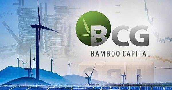 Bamboo Capital (BCG) hé lộ lộ trình “cứu” cổ phiếu: Khi nào được giao dịch trở lại?