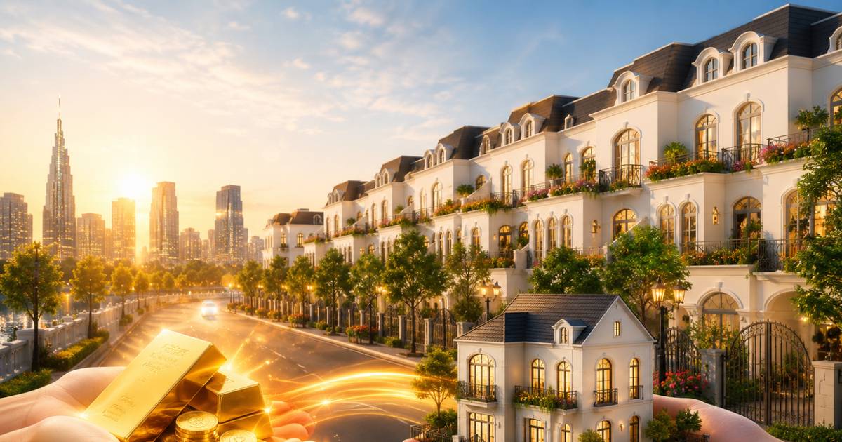 Bài viết HAY của chuyên gia