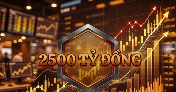Công ty tài chính được định giá 18.000 tỷ đồng chưa một lần chia cổ tức, vì sao?